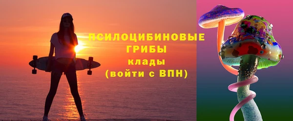 ГАЛЛЮЦИНОГЕННЫЕ ГРИБЫ Абдулино