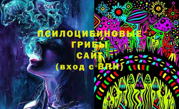 spice Рославль