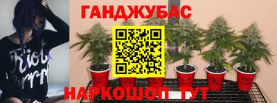 синтетический гашиш Гатчина